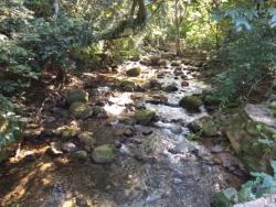 Terreno para Venda em São Sebastião - 3
