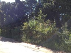 Terreno para Venda em São Sebastião - 4