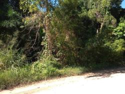 Terreno para Venda em São Sebastião - 5