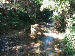 Terreno para Venda em São Sebastião - 2