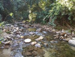 Terreno para Venda em São Sebastião - 3