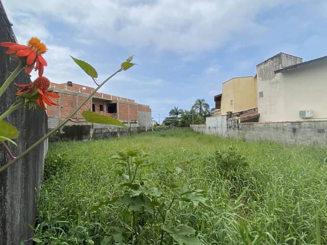 Área para Venda em Bertioga - 4
