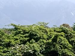 #ap563 - Apartamento para Temporada em Bertioga - SP